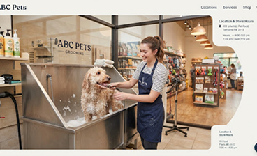 Groomer bathing a dog in the salon