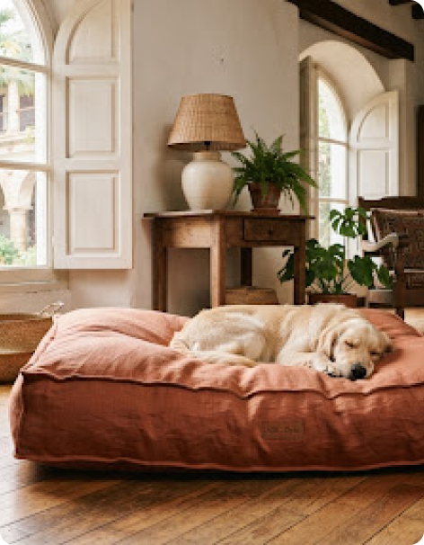 Dog sleeping on a linen bolster mattress