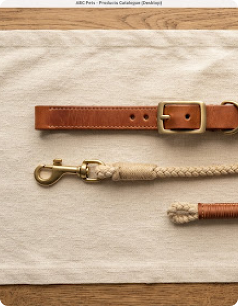 Leather dog collar and rope leash