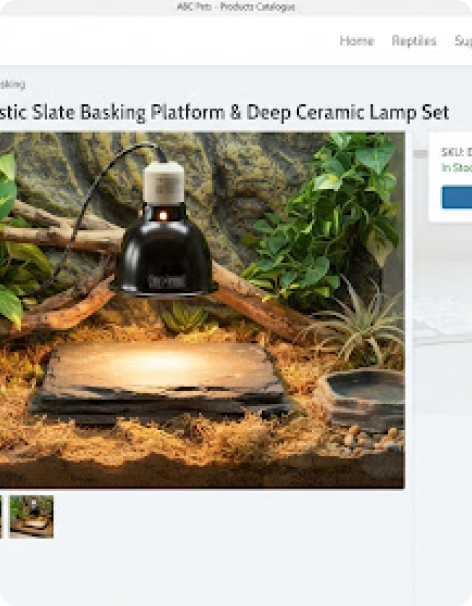 Reptile habitat with a natural slate basking platform